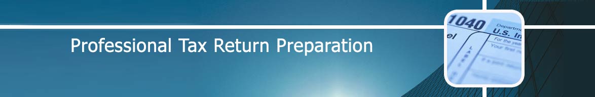Professional Tax Return Preparation